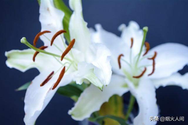 我28岁还是处女，和一个34岁男人相亲一个月后，忍不住就想嫁给他