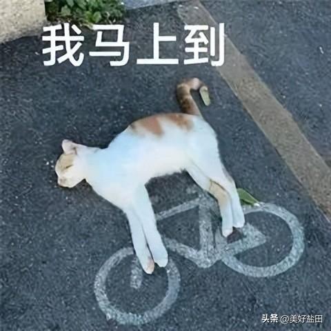 梅沙中英街旅游专线开通！还有这些专线带你轻松畅玩“双节”！