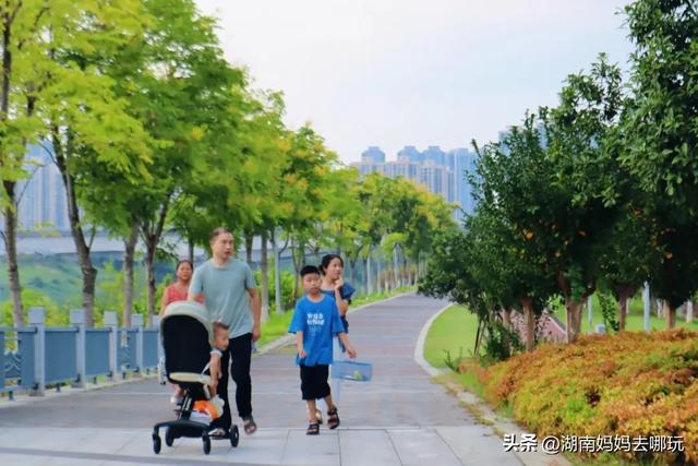 1小时直达！长沙藏了片“狗尾巴草秘境”，免费露营+玩水，人少景美，错过等一年！