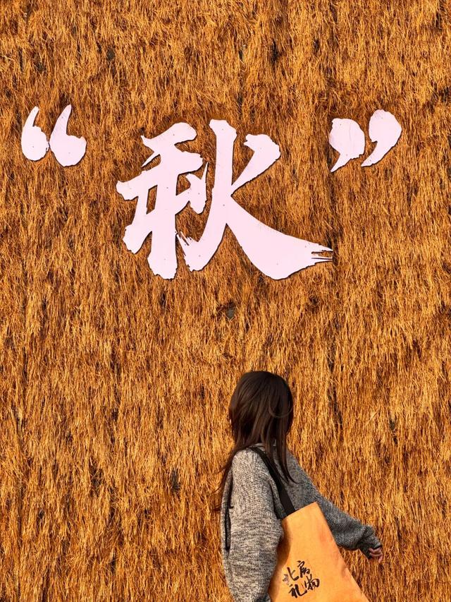 北房红枫林已到最佳观赏期，快来拍照打卡