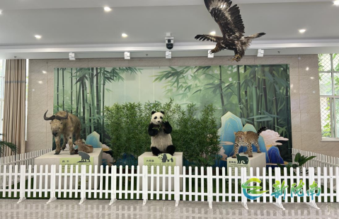 市博物馆暑期推出特色展览 丰富青少年文化生活