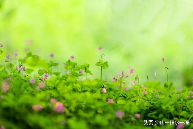 今日推荐文章:我信	，你干的每一件事，好的坏的都算数