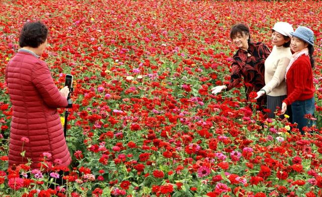 【年度答卷 绩起新程】全域融合绘新景 惠民兴产谱新篇——柳江区文化体育广电和旅游局2025年度工作巡礼