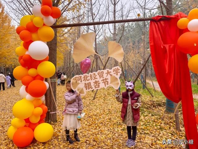 【石家庄】河北经贸大学银杏节预览，随手一拍都是壁纸