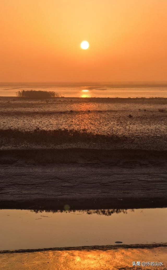 2025辽宁赏秋之旅日记(6)——到辽河口中国最北海岸线看日出 观鸟