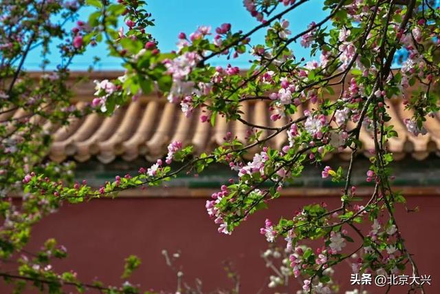 “新北京游”，你玩过几件套？