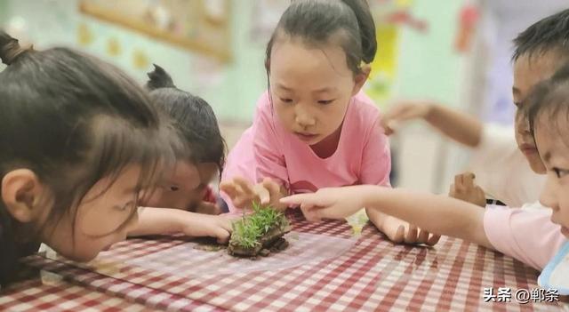 美在邯郸丨邯郸市公共文化场馆变身清凉文化驿站