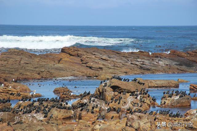 南部非洲：南非好旺角