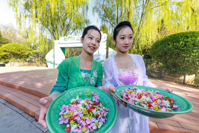 看东城,一路繁花,四季幻彩!