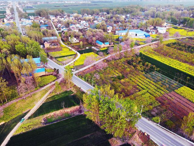 杞县图鉴：从千年文化到现代产业的视觉巡礼