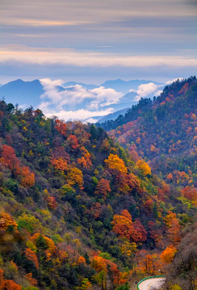 甩开人山人海！这些秋景才是真“顶流”，一眼封神不瞎说！