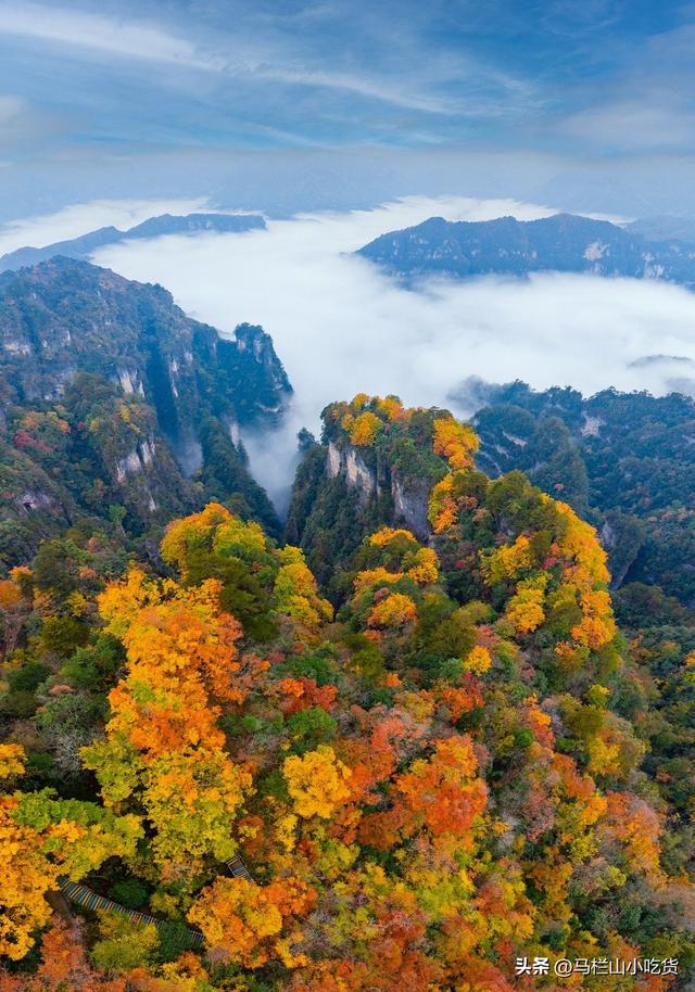 四川巴中光雾山旅游 |打卡 一场绝美的山水之旅！