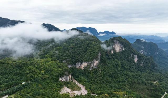 守护生态秘境——走进徽县三滩森林公园