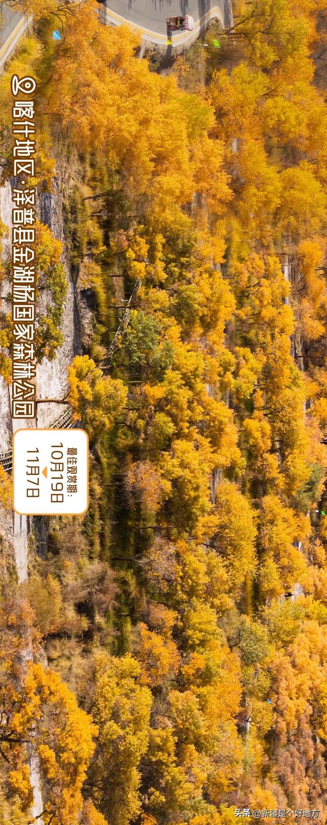 新疆赏胡杨最全攻略