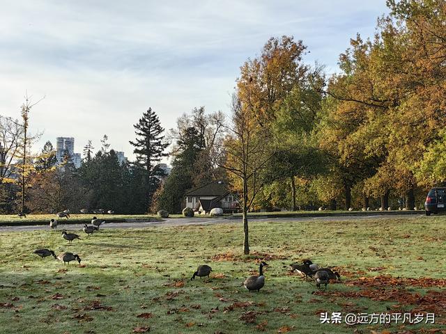 温哥华游记（四）