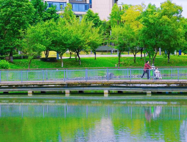 河畅水清景美！郫都母亲河“焕颜”，解锁亲水宜居新体验