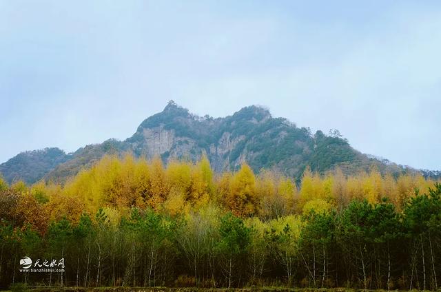 秋染天水白音山双乳峰:一幅大自然馈赠的立体画卷