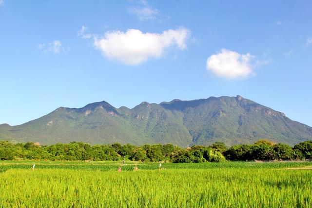 除骑遇浪漫还有山野欢乐跑！深圳南澳新大“粉黛花海季”活动陆续派送中