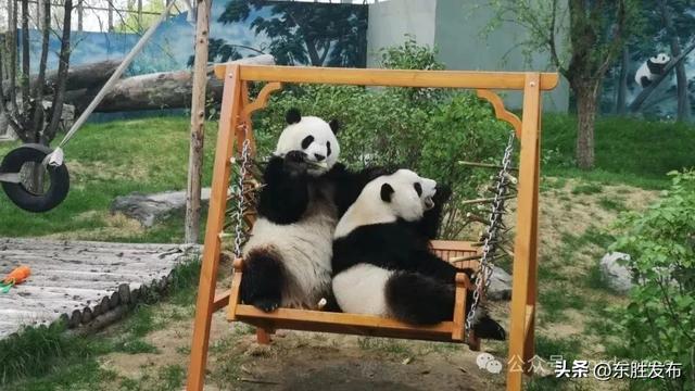 本周六，来给“姐俩”过生日！