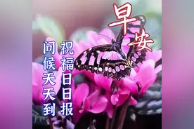 今日最新早上好温馨问候语，早安简短美句精选，问候准时送到图片