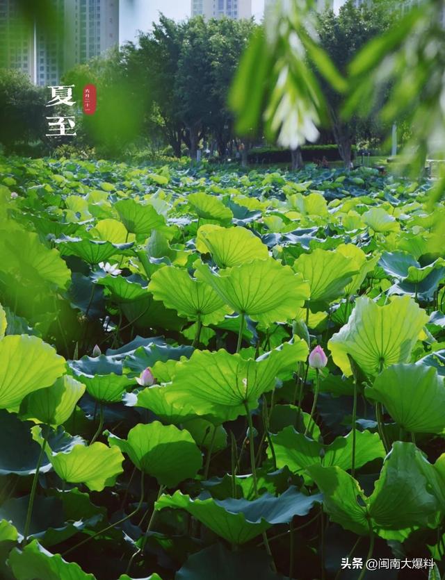 全部免费！泉州适合遛娃/放空/散步的10个小众公园！附游玩好去处