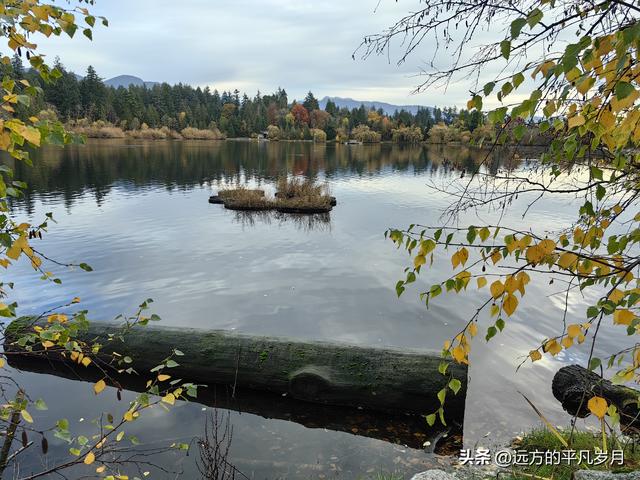 温哥华游记（一）