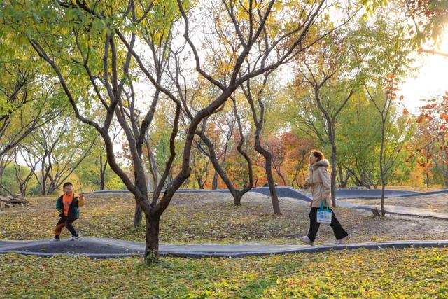 藏不住的惊艳!这座公园正处颜值巅峰