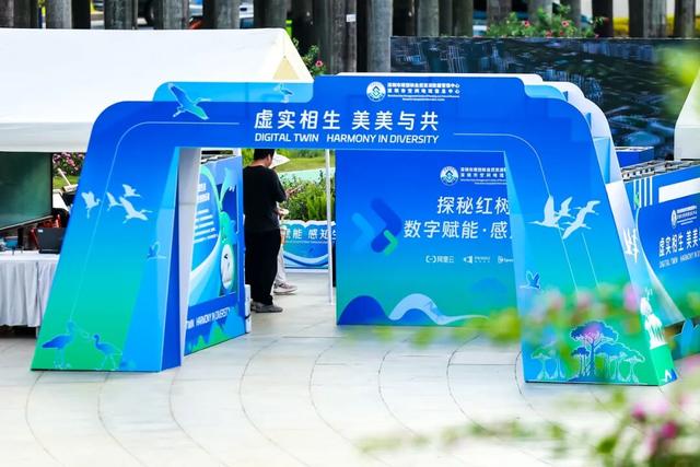 2025国际红树林之夜启幕，邀您共赴生态盛宴！