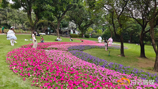 走起！云台花园云萝植物园邀你畅游花海、嗨购文创、探秘奇妙夜