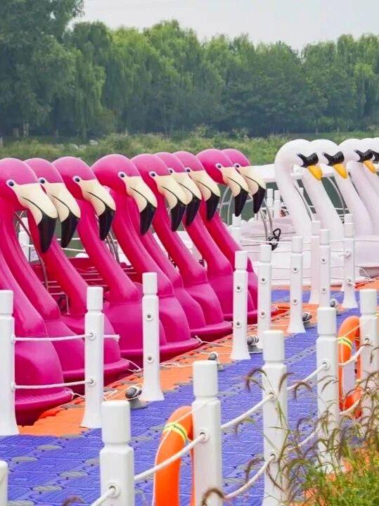 上新！10万㎡花海，秋日绝美打卡地来了