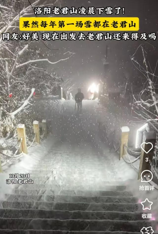 河南首场“绿叶雪”刷屏！告别60年最长阴雨，全省一夜入冬，今天河南人有多“抗冻”？