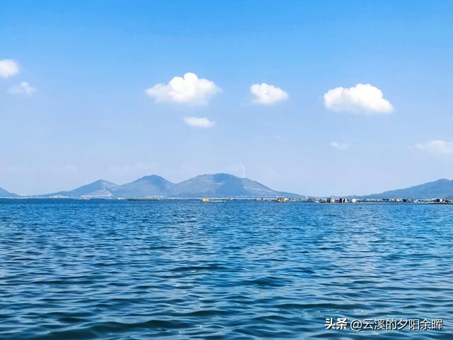 广东阳江海陵岛“渔家乐”体验，章鱼独当一面