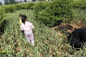 五一假期回到农村乡下老家，住了几天，彻底改变了我看法：呆不住图片