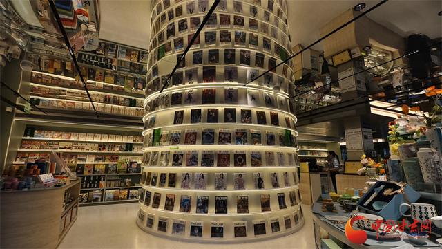 会里会外看进博：上海文化地标编织城市斑斓图景