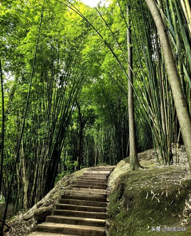 深秋想赴一场“森”系约会？来邛崃就够了！