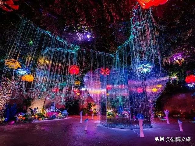 淄博冰雪宝典，请请收好