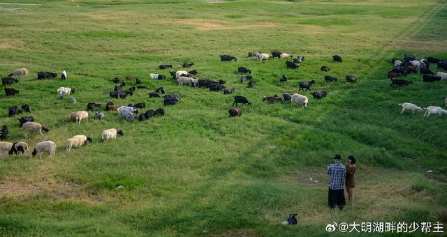 济南的秋天竟然可以这么“阿勒泰”，悄悄告诉你这处秘境！
