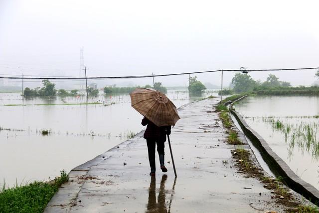 “今年还要旱多久，就看四月十一”，四月十一，下雨有啥预兆？