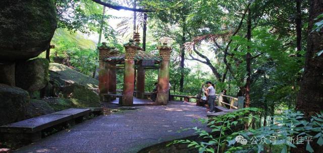 桂平半程马拉松选手看过来！文旅福利已就位，三大景点等你打卡～