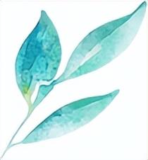 “茉莉花开”，盐都这场文化盛宴够滋味！