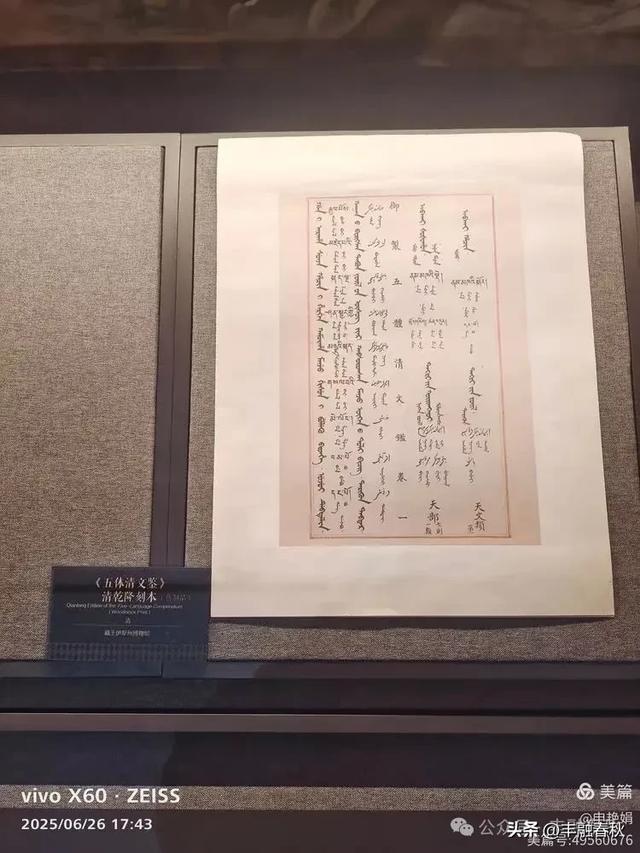 穿越千年的丝路回响：走进龟兹博物馆｜申艳娟