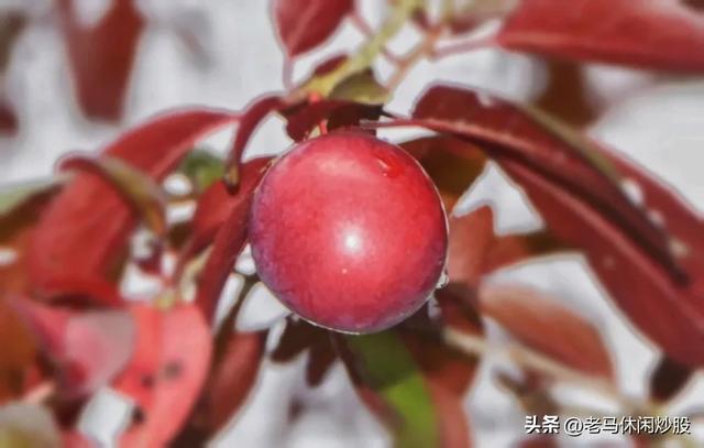 我带着相机，在耿达避暑