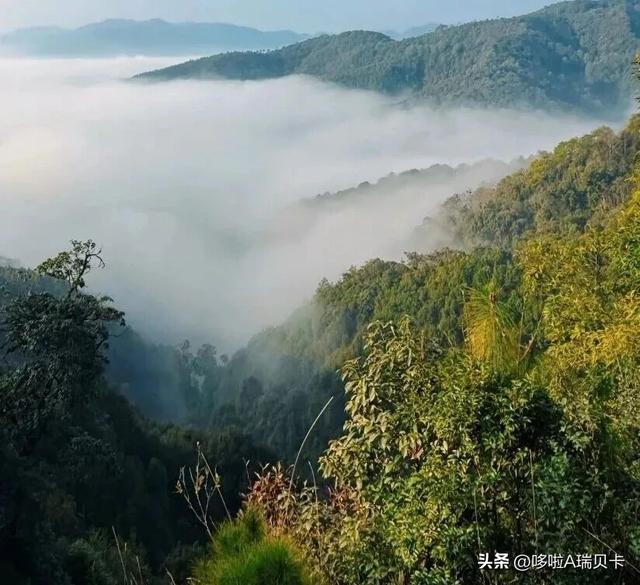 退休后一定要在这6座城市旅居，消费不高生活安逸，来了就不想走