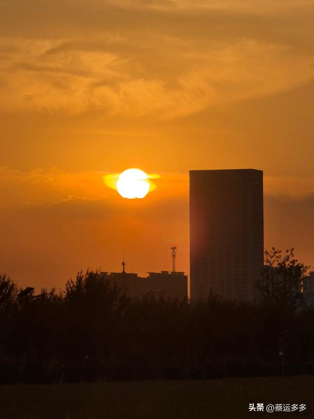 上海的乡村美得我头晕目眩