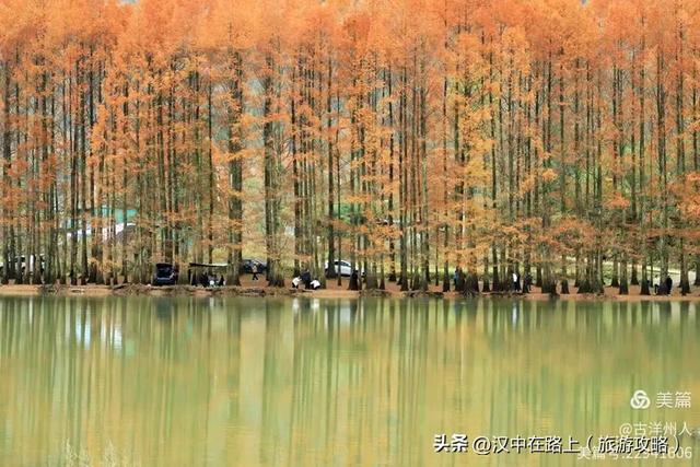 龙池秋色惹人醉