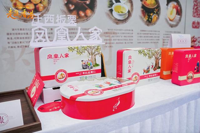 冀港携手谱新篇！2025河北文旅香港专场推介会燃动香江