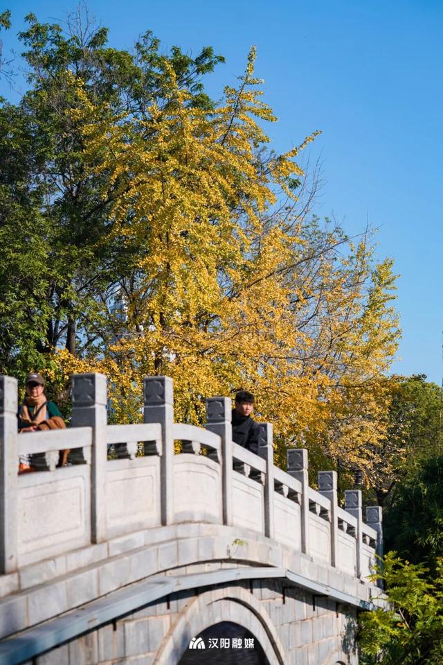 限时绝美！汉阳全城颜值巅峰，零换乘直达