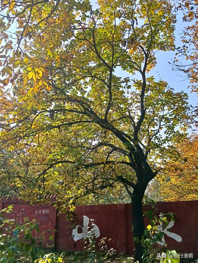 自驾南太行国画小镇石板岩，行驶"全国最美农村路"林石线