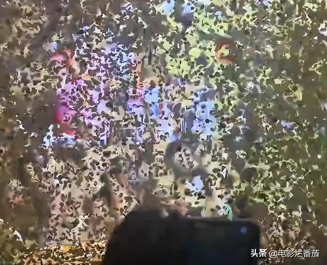 毛不易演唱会“撒纸币”引争议，网友：可以接地气，但不能接地府