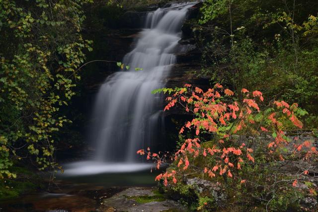太洋公路已通车！去黄柏塬赏秋现在就出发！